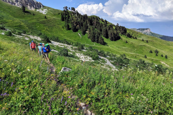 IMG_20180725_160157 IMG_20180725_160157