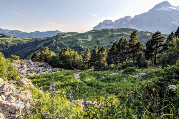 IMG_20180725_180553 IMG_20180725_180553