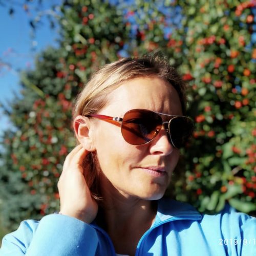 Ковчег 5 svg+xml;charset=utf