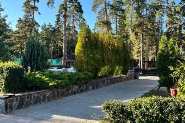 photo_2025-02-20_21-10-41 (3) photo_2025-02-20_21-10-41 (3)