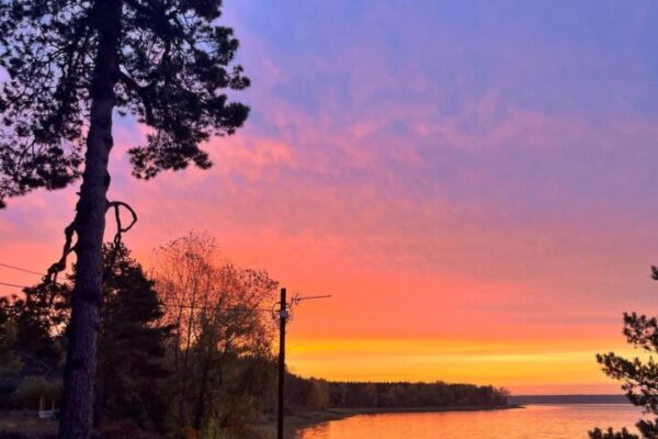 photo_2025-02-20_21-10-42 (3) photo_2025-02-20_21-10-42 (3)