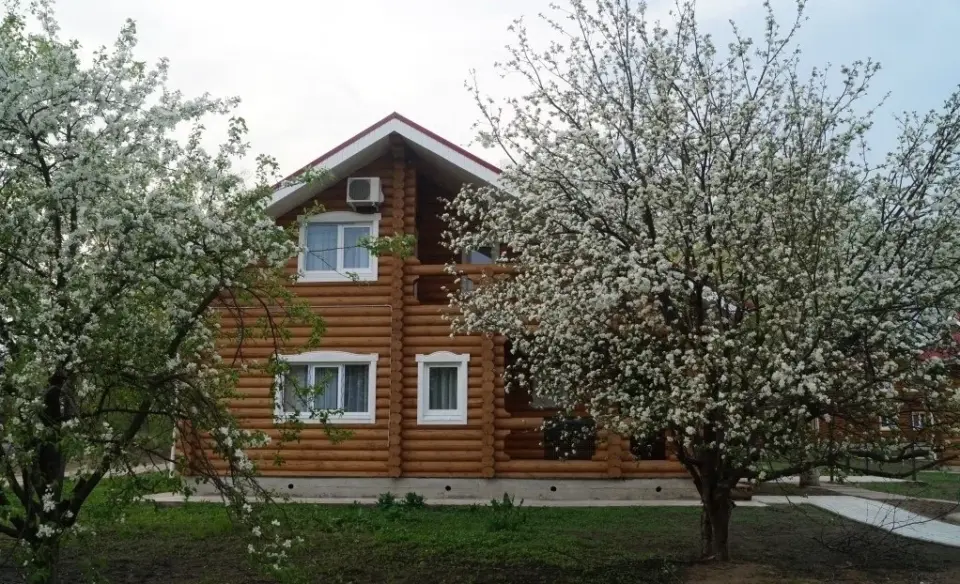 XXXL (11) svg+xml;charset=utf