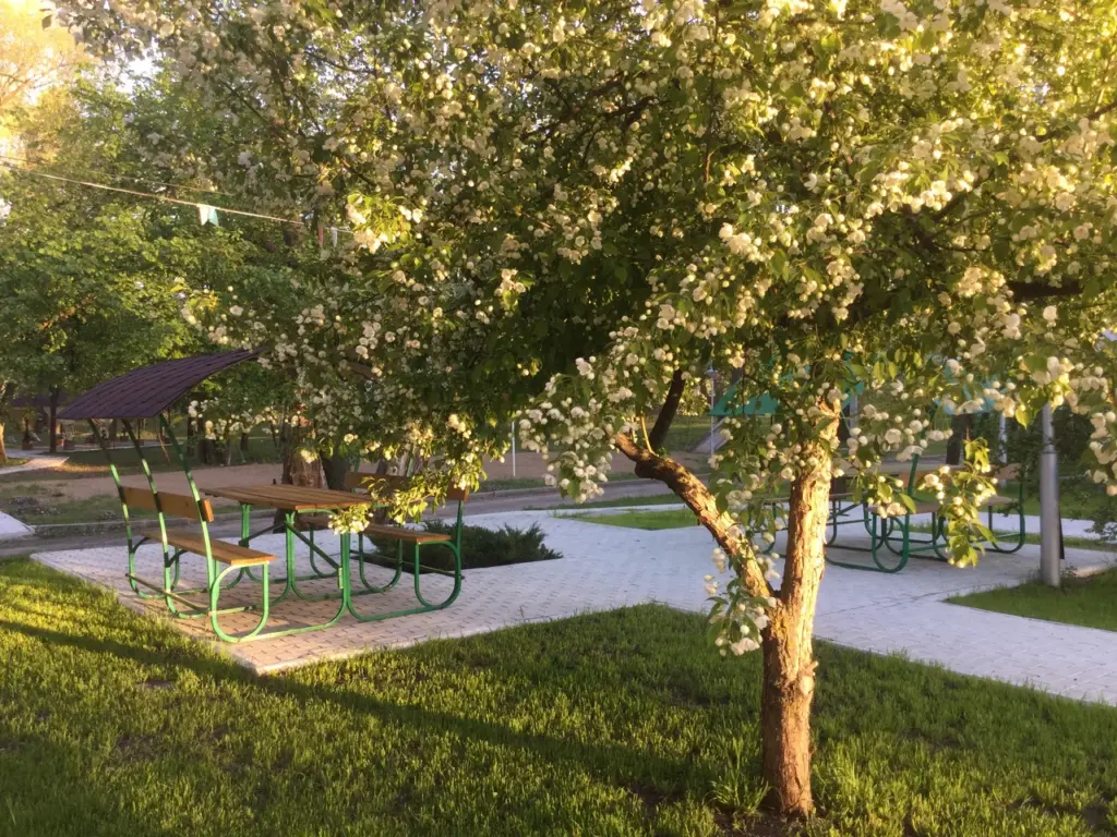 XXXL (13) svg+xml;charset=utf